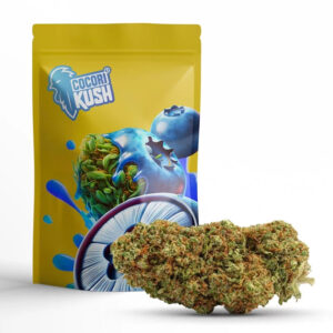 Fleur - BLUEBERRY MUFFIN
