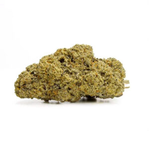 Fleur - CBN+